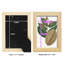Fall Foliage III, reproduction d'art encadrée-90582660-90582650