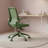 Ergonomic Colorful Office Chair 350LBS Home Office Mesh Breathable High Back, With Adjustable Lumbar Support Computer Chair, Integrated Molded Foam Seat Cushion, Fireproof-129685445