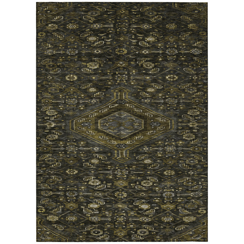 Tapis intérieur lavable à médaillon gris anthracite 3 pi x 5 pi