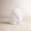 Memento Mori Faceted Skull-36553304-36553309