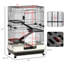Cage en métal noir pour petits animaux avec rampe et plateforme pour chinchillas, furet - pour furets, lapins noirs, configuration pratique