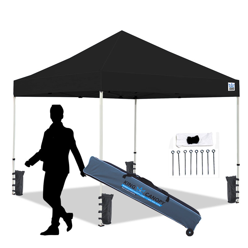 Black 10ft x 10ft Alloy Steel Pop-Up Canopy with Weight Bags