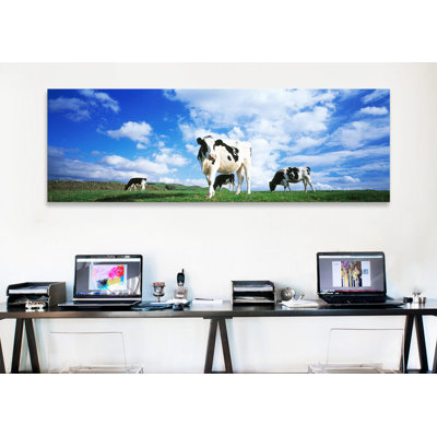 «Cows in Field England, United Kingdom», reproduction de photo sur toile