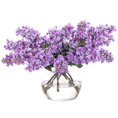Lilac, Purple, Glass Vase, 23wx17dx17h