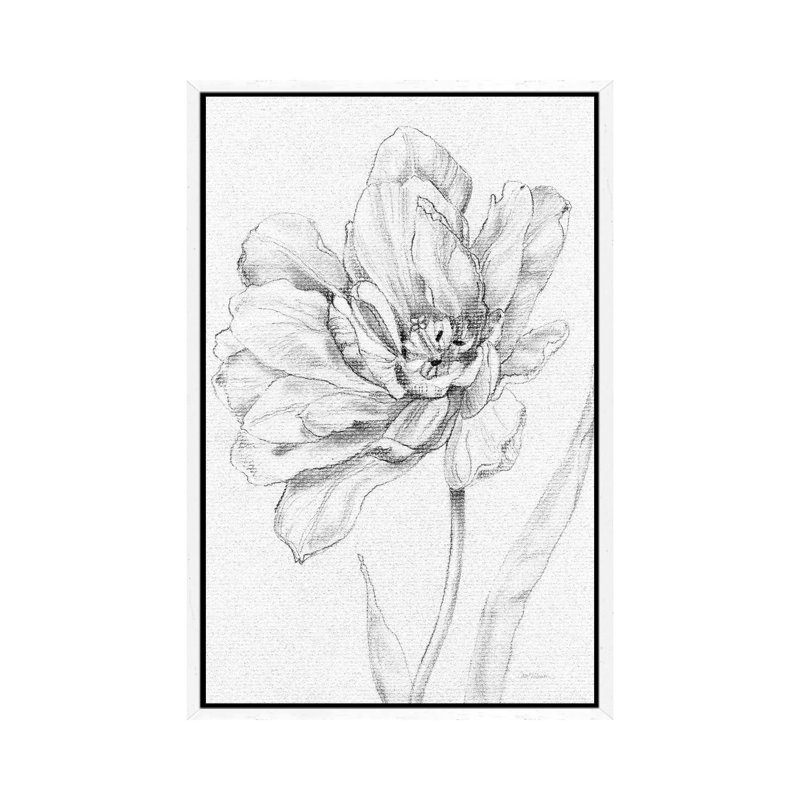 Tulip Sketch by Carol Robinson - Print on Canvas, 101.6 cm H x 66.04 cm W, White Framed