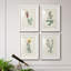 Traditional Botanical I - Ensemble de 4 peintures encadrées-1560402379-1560402378