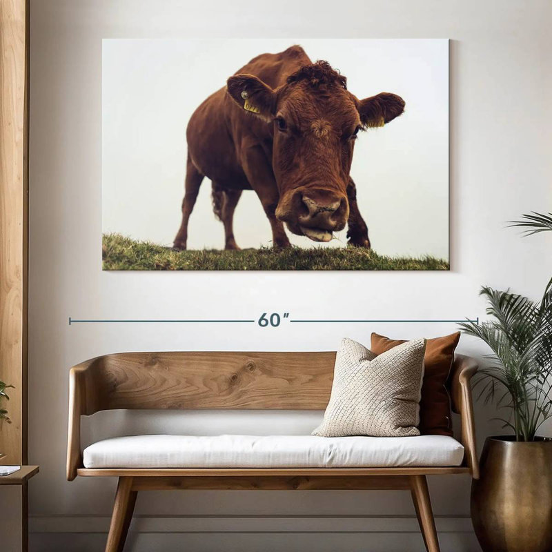Visage de vache chocolat, H 34 po x l 51 po