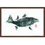 Andrew Clay - Single Picture Frame Print-20604506