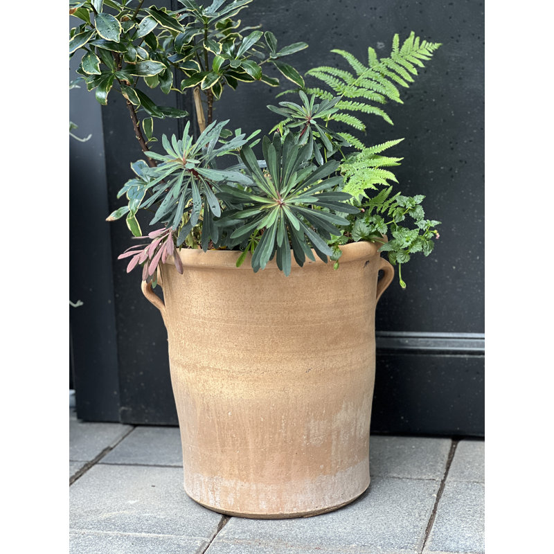 Jardinière Solina avec poignées, grand pot en terre cuite - Intérieur/Extérieur, 14,0 po x 15,0 po