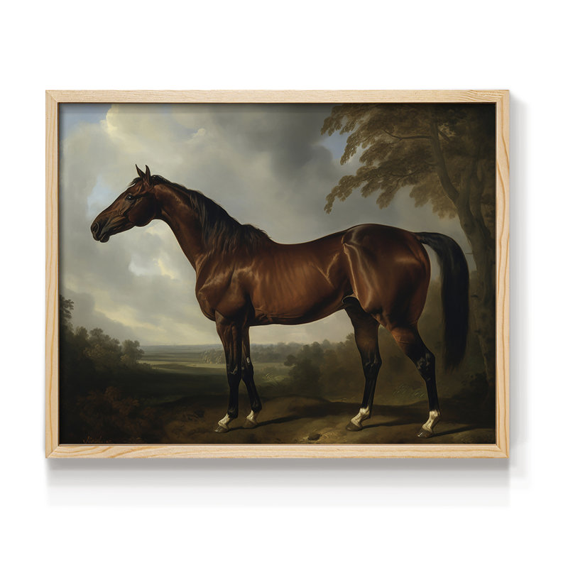 Faune, série LVII, reproduction encadrée, H 8 po x l 10 po, Naturel