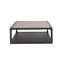 Coalesce Coffee Table
