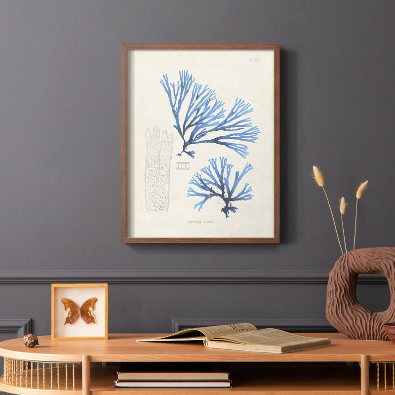 «Blue Marine Algae V», reproduction encadrée en bois massif, Cadre photo brun simple, H 14 po x l 11 po