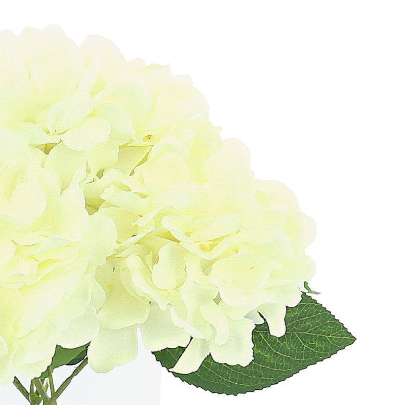 Hydrangea Arranged In A Clear Glass Vase