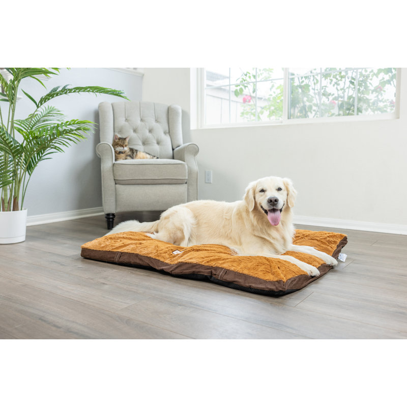 Coussin pour chien moka, Très grand (l 47 po x P 36 po x H 4,5 po)