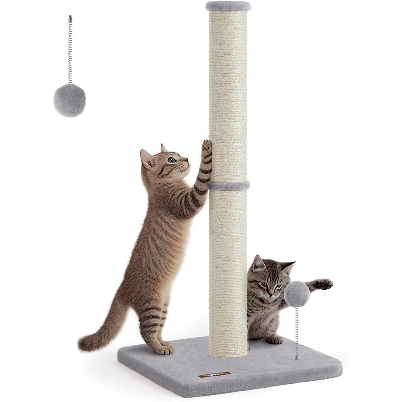 Scratching Post