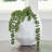 Caythan Vase-100334759
