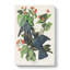 White Crowned Pigeons by John Audubon - Wrapped Canvas Painting-55305444