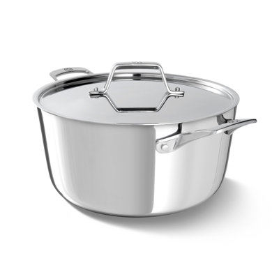 Premier Stainless Steel 6-Qt Stock Pot with Lid