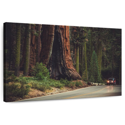 Harnek Sequoia Lined Highway