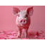 Coussin cochon-97277068