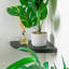 Harbour Housewares - Modern Floating Corner Wall Shelves-61892034-61892032