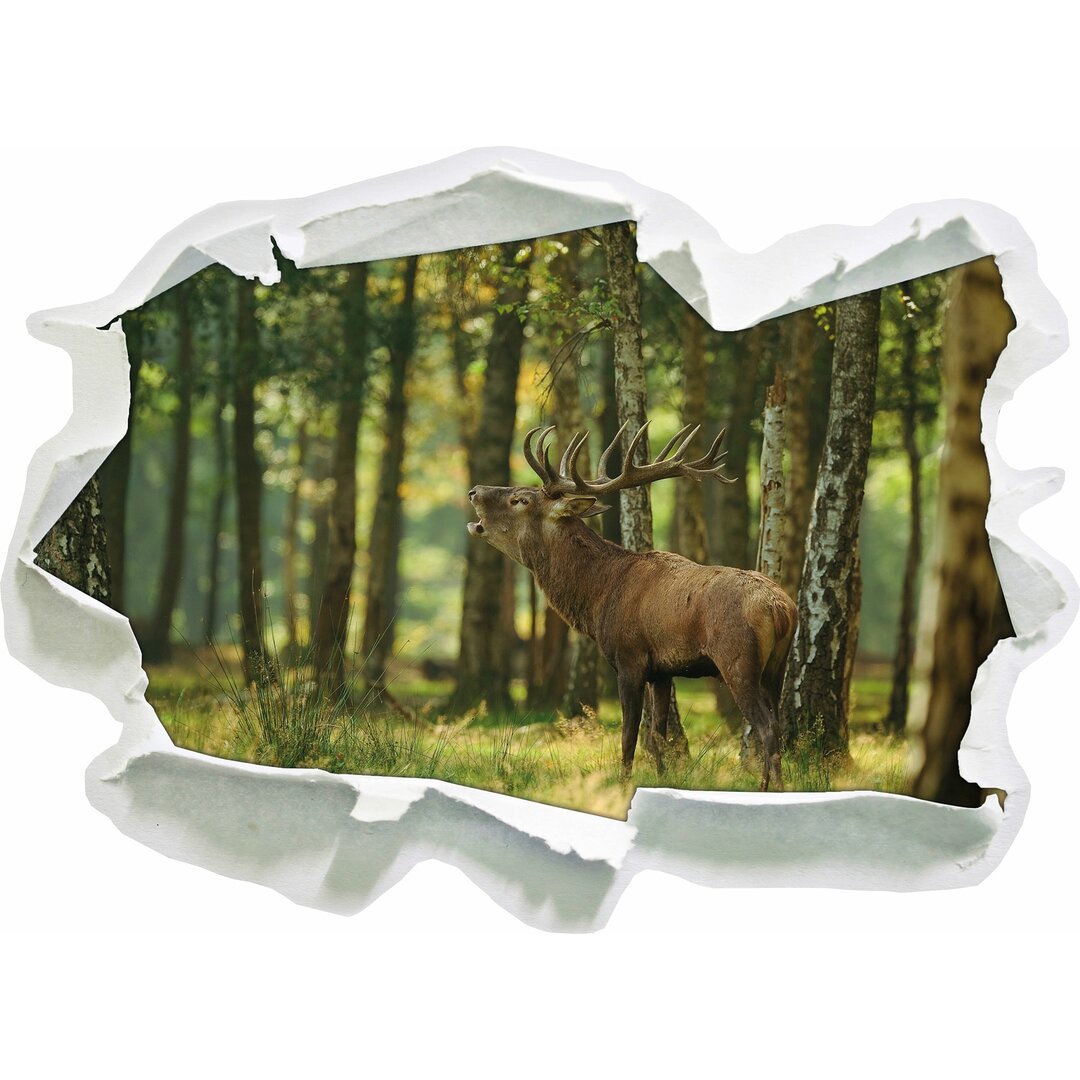 Wandaufkleber Stag in the Forest