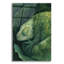 «Rest Entre Les Feuilles Vertes» par Momart, art mural en verre acrylique-428913335