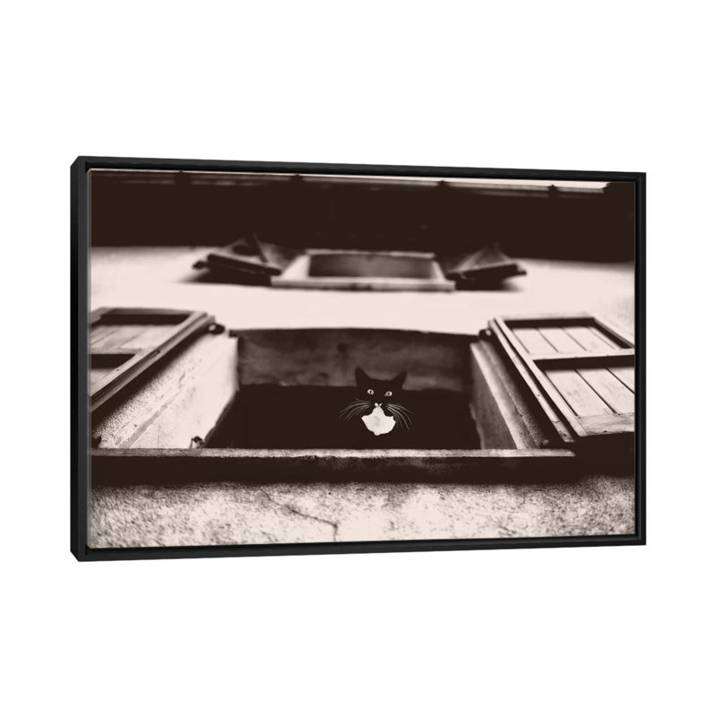 « dali the cat », reproduction d’impression sur toile, H 18 po x l 26 po x P 1,5 po, Toile encadrée noire, Pas de tapis