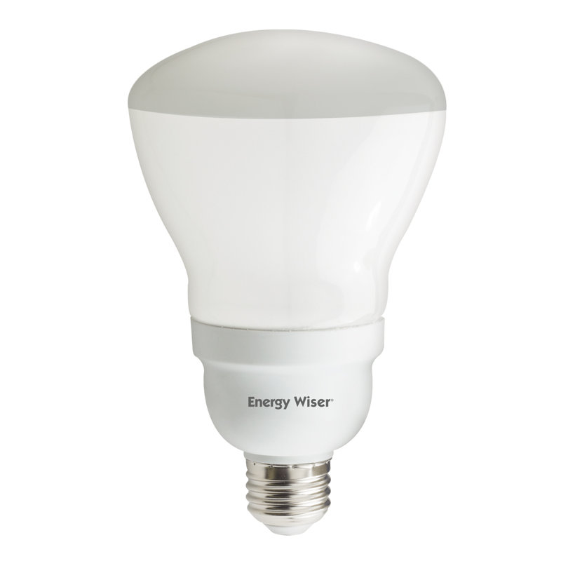 Ampoule fluorescente compacte 15 watts R30 de 15 watts (fluocompacte), culot moyen (standard) E26 (2700K)