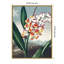 Temple of Flora VII par Dr. robert j. Impression sur toile encadrée Thornton-713576659