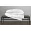 Chalet Goose Down Comforter-24436619