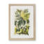 Various Ivy Leaves by Shirley Hibberd - Picture Frame Painting Print-55763969-55763970