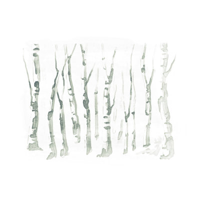 Aquarelle bouleaux - impression sur toile tendue