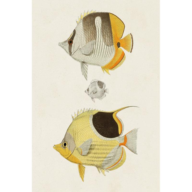 Poisson jaune et gris II - peinture sur toile tendue, H 36 po x l 24 po x P 1,25 po