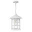Freeport 1-Light Outdoor Hanging Lantern
