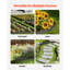 Ensemble de 5 bordures en acier résistant à la rouille-111135801-111135802