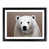 Black Framed selected