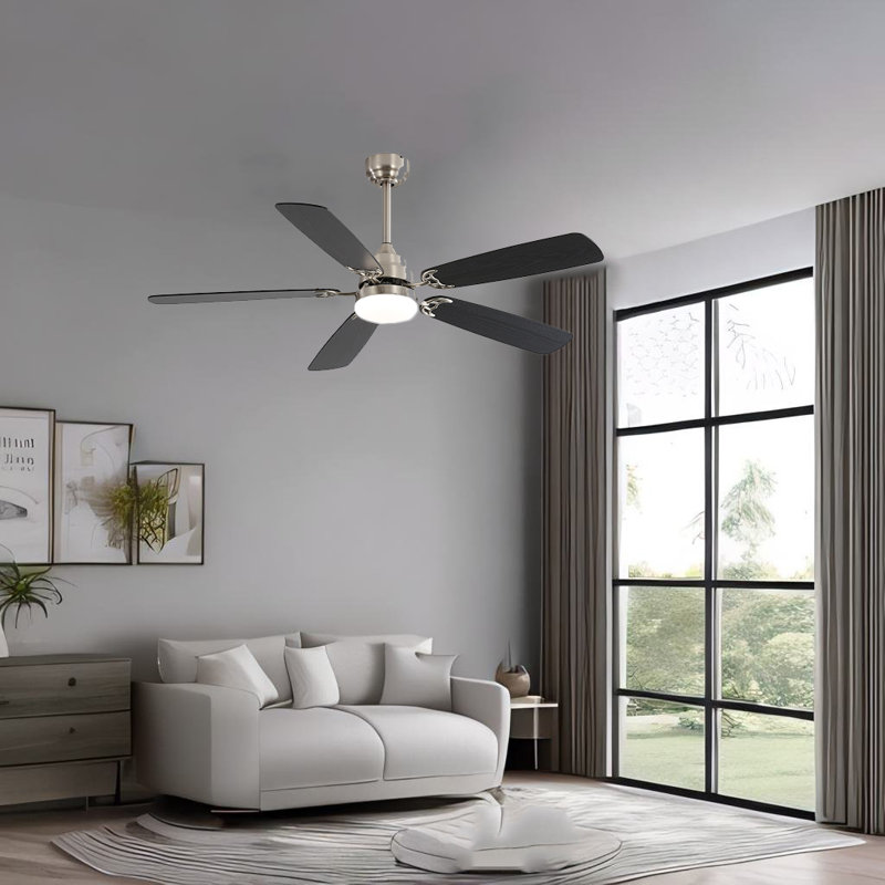 Kayllie 52'' Ceiling Fan with LED Lights, Black, Nickel