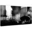 1 Piece Wrapped Canvas Wall Art-16673835