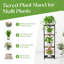 Plant Stand - Set of 4