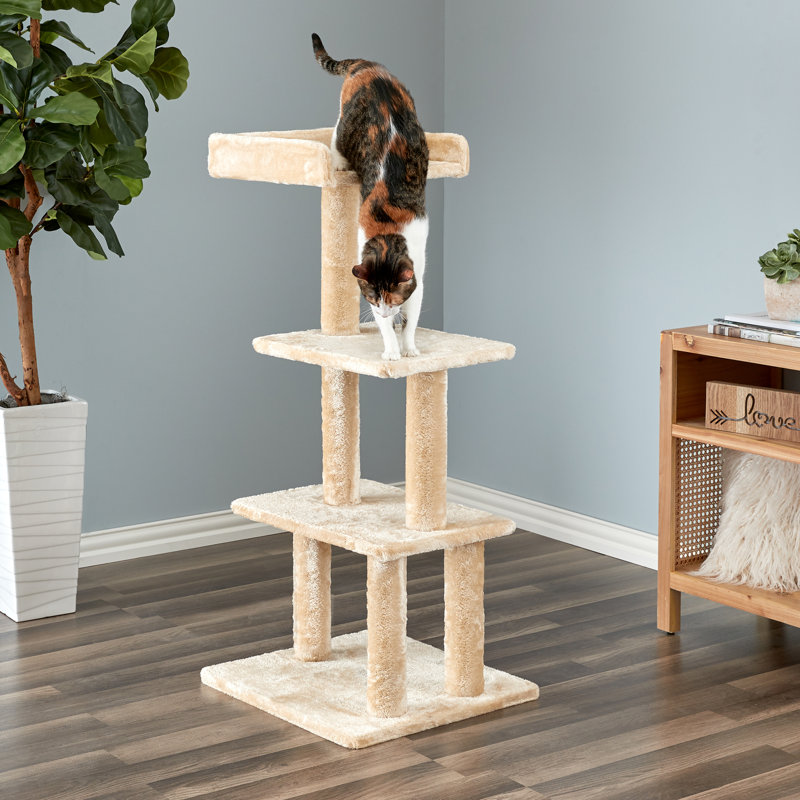 Willesden 44.1'' H Cat Tree