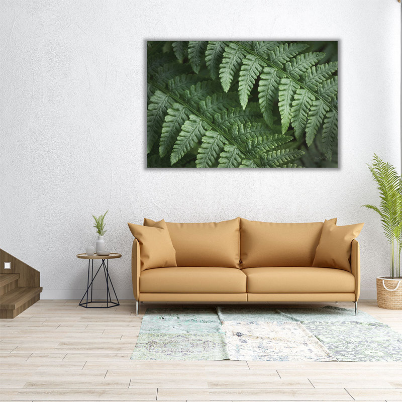 Lady Ferns III - reproduction d'art sur toile, H 20 po x l 30 po