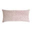 Dots Rectangle Velvet Pillow Cover & Insert-2004181840-1984003933