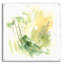  «Emerald & Olive 2» par June Erica Vess, art mural en verre acrylique, 36 po x 36 po-904248051