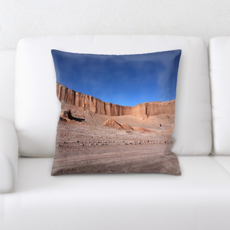Microsuede Reversible Throw Pillow
