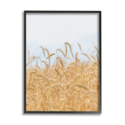 Art de giclée champêtre de blé champêtre par Nancy Crowell