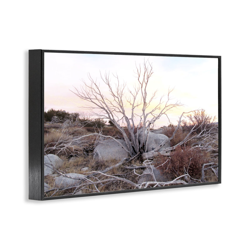 Estampe numérique Rocky Foothills, conçue par Gemma Bardot, H 12 po x l 18 po, Giclée encadrée noir minuit