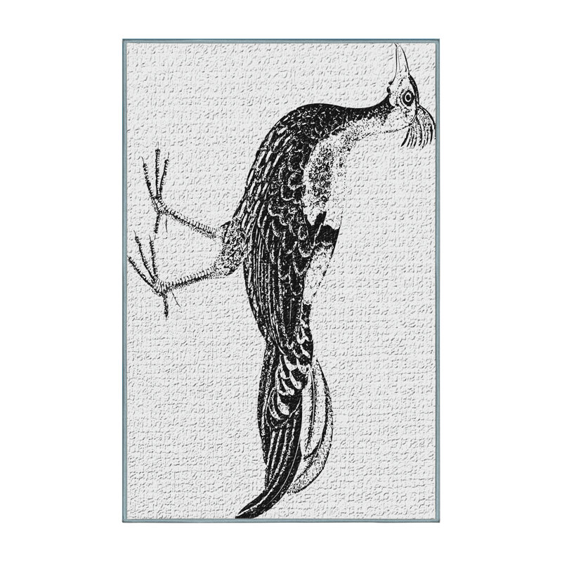 Tapis noir Animal, Rectangle 3 pi x 5 pi