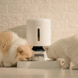 Granary WIFI Automatic Two Cat & Dog Feeder with Camera & 3 Pet Food Desiccant Bags