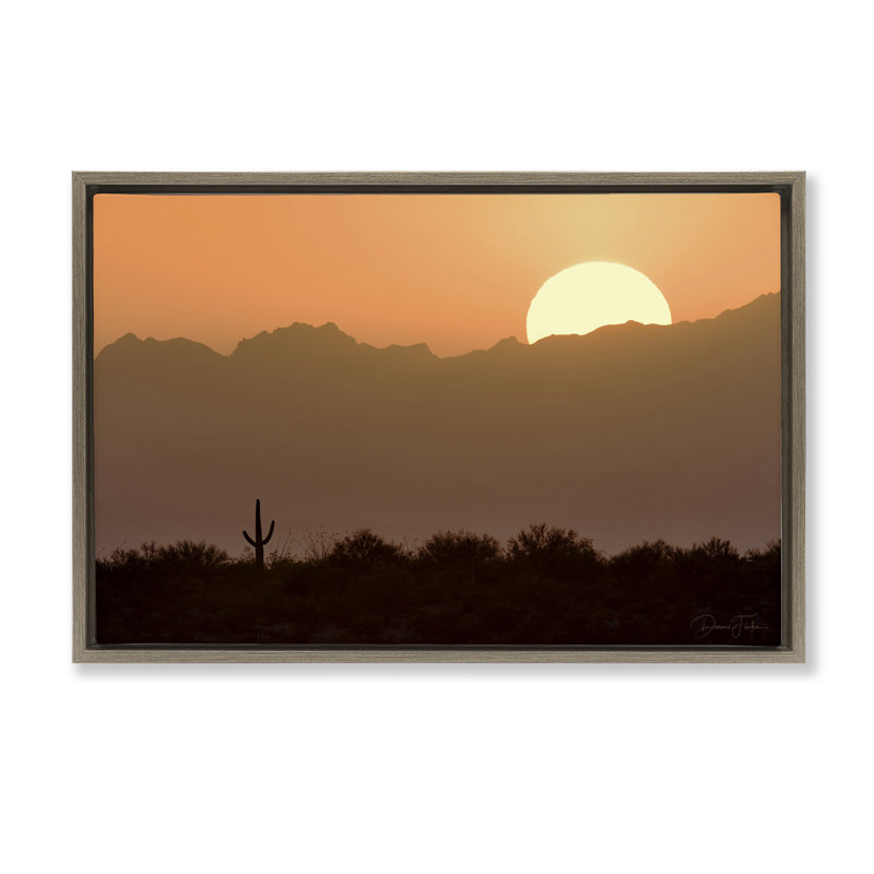 Toile flottante encadrée Sunlit Desert Cactus par Dennis Frates, Cadre flottant orme Montalcino, H 17 po x l 25 po